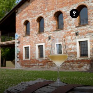 Degustazione Gourmet a Torre Fornello – stella Michelin