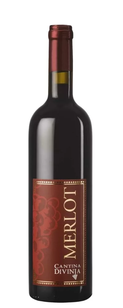 Merlot- Cantina Divinja - immagine 2