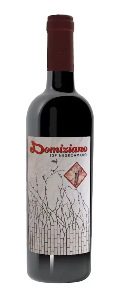 Negroamaro 2018-Domiziano - immagine 2
