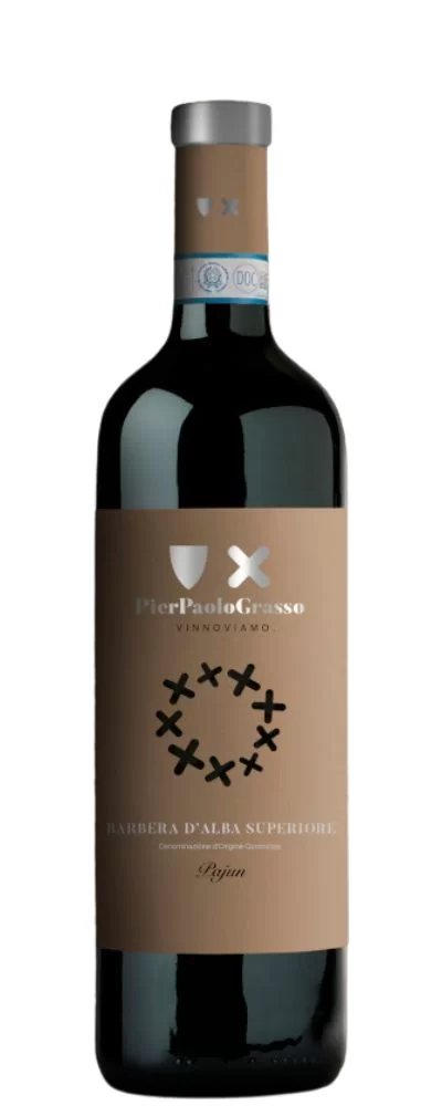 Barbera d’Alba Superiore DOC “Pajun” 2018-Pierpaolo Grasso - immagine 2