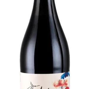 Lambrusco Scuro Secco “Cantastorie”-Casali