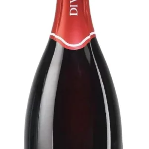 Lambrusco di Sorbara Unico-Cantina Divinja