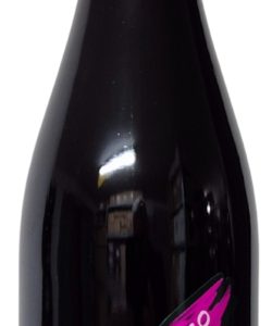 Camillo Donati Lambrusco 2023